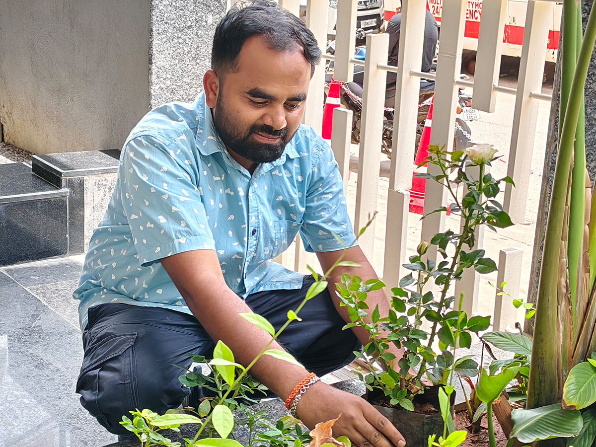 Plant Distribution